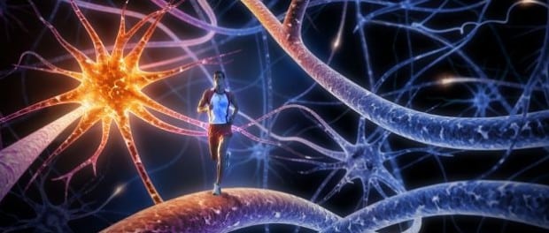 Attività sportiva e sistema immunitario: le sostanze naturali che aiutano davvero